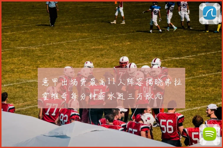 意甲出场费最高11人阵容揭晓弗拉霍维奇每分钟薪水近三万欧元